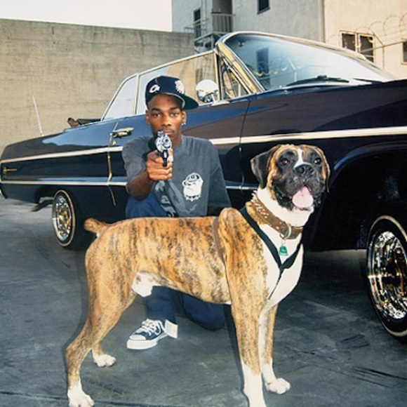 Meet your Posher, Amar - Picture 1 of 1